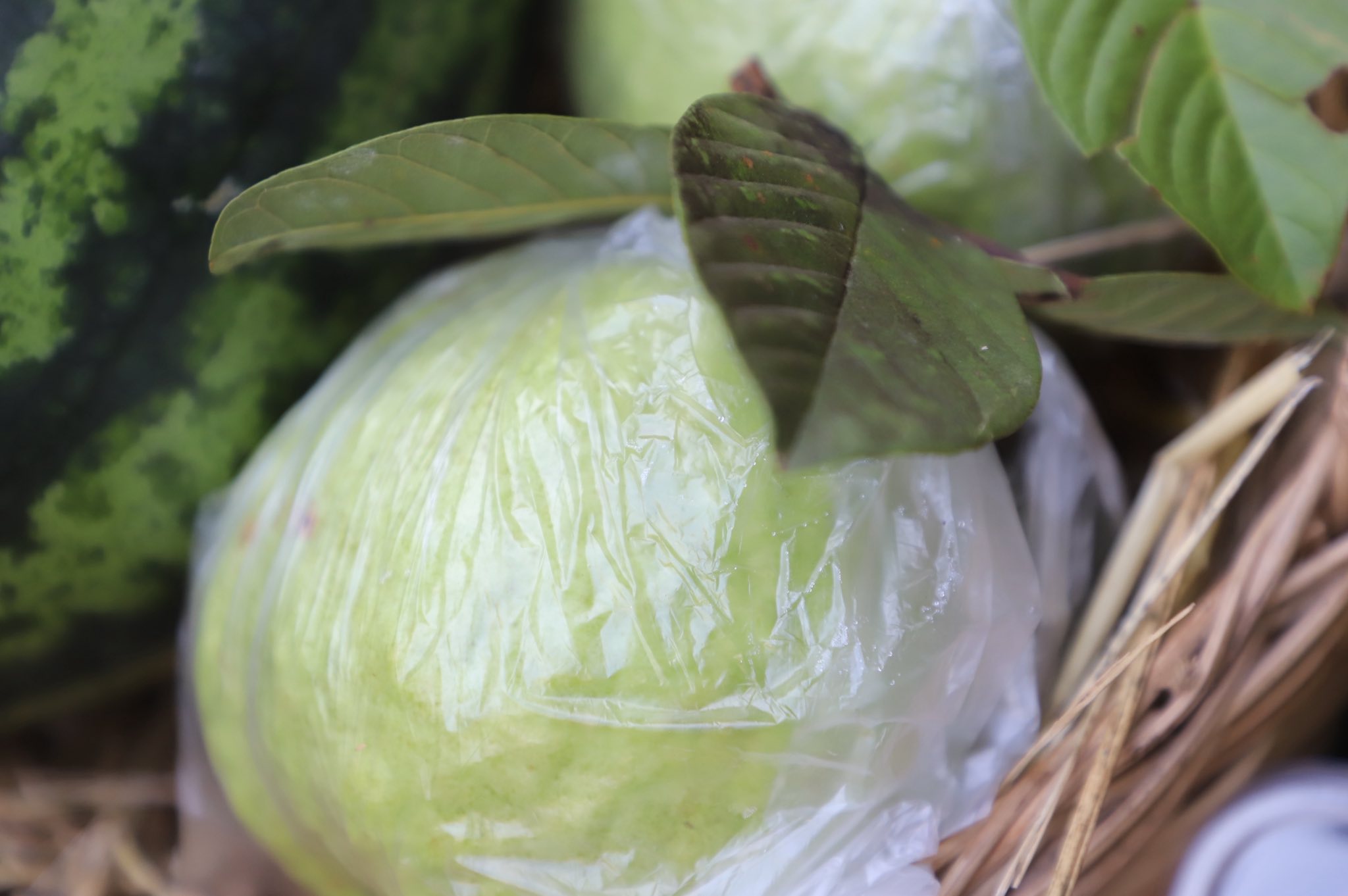 title - ”พลิกโฉมเกษตรกรสู่ผู้ประกอบการ“ ส.ป.ก.ลำพูน โชว์ความสำเร็จเกษตรอินทรีย์ครบวงจร ตั้งแต่แปลงปลูกสู่ตลาดพรีเมียม!!